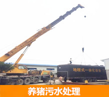 養(yǎng)豬污水處理設備